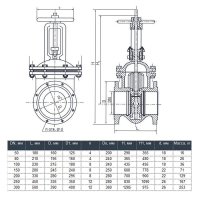 Задвижка чугунная 30ч6бр DN 200 PN 10, параллельная Арт.101100031
