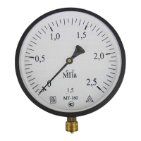 Манометр МТ-160 до 2,5 МПа М20х1,5, Багория Арт.182102414